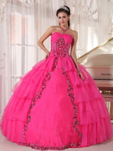 Fashionable Hot Pink Quinceanera Dress Sweetheart  Organza Paillette Ball Gown