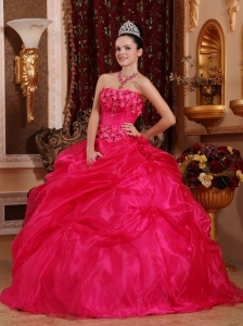 Cute Hot Pink Sweet 16 Dress Strapless Organza Appliques Ball Gown