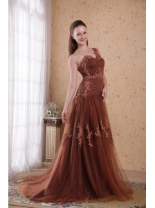 Brown Column / Sheath One Shoulder Brush /Sweep Appliques Tulle Prom/Pageant Dress