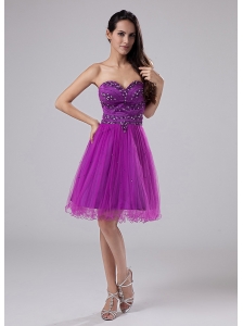 Purple Sexy Prom Dress With Beaded Decorate Sweetheart Organza In 2013