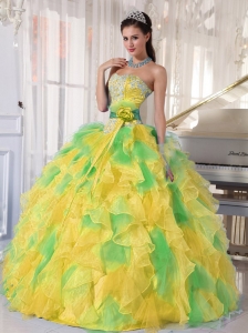 Ball Gown Appliques and Ruffles Organza Long Sweet 16 Dresses