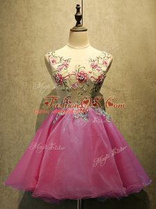 Mini Length Hot Pink Dress for Prom Organza Sleeveless Embroidery