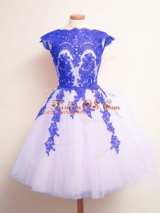Mini Length A-line Sleeveless Blue And White Quinceanera Dama Dress Lace Up