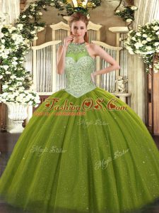 Clearance Floor Length Ball Gowns Sleeveless Olive Green 15 Quinceanera Dress Lace Up