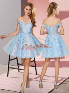Nice Sleeveless Tulle Mini Length Zipper Quinceanera Court Dresses in Light Blue with Appliques