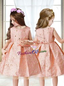 Pink A-line Satin Scoop Sleeveless Embroidery Mini Length Zipper Little Girl Pageant Gowns
