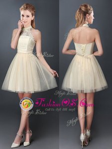 Low Price Tulle Halter Top Sleeveless Lace Up Lace and Appliques Quinceanera Court Dresses in Champagne