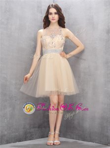 Gorgeous Scoop Tulle Sleeveless Knee Length and Beading