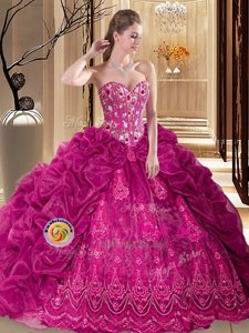 Organza Sleeveless Sweet 16 Quinceanera Dress Court Train and Embroidery and Pick Ups
