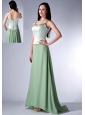 Discount Apple Green Cloumn Spaghetti Straps Bridesmaid Dress Chiffon Brush Train