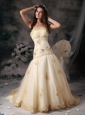 Customize A-Line / Princess Wedding Dress Strapless Organza Embroidery Brush Train
