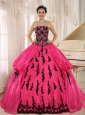 Hot Pink 2013 New Arrival Strapless Embroidery Decorate For Quinceanera Dress In Montero