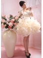 One Shoulder Ruffles Organza Column / Sheath Champagne Mini-length Wedding Dress