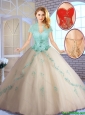 Summer Perfect Champagne Sweet 16 Dresses with Appliques