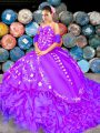 Dazzling Organza Sleeveless Quinceanera Gowns Brush Train and Embroidery and Ruffles